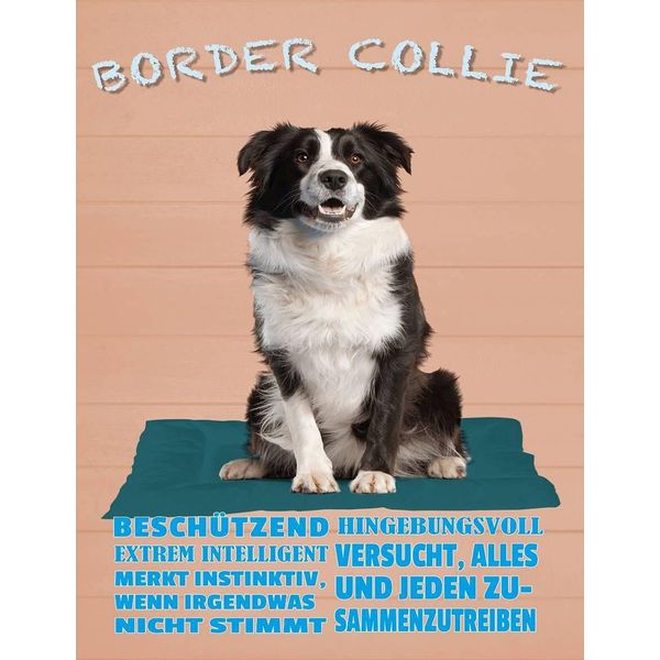 Vianmo Insegna In Legno 40X30 Cm Border Collie Hund Intelligent-image