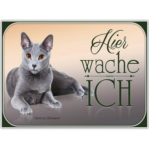 Vianmo Insegna In Legno 30X40 Cm Katze Chartreux Hier Wache Ich-image