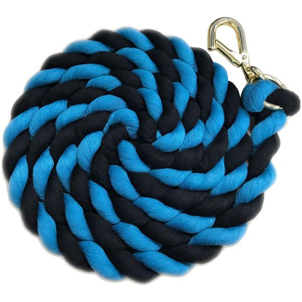 Shires Bastone Per Cavalli Bicolore ER595 (Taglia Unica) (Nero/Teal)-image