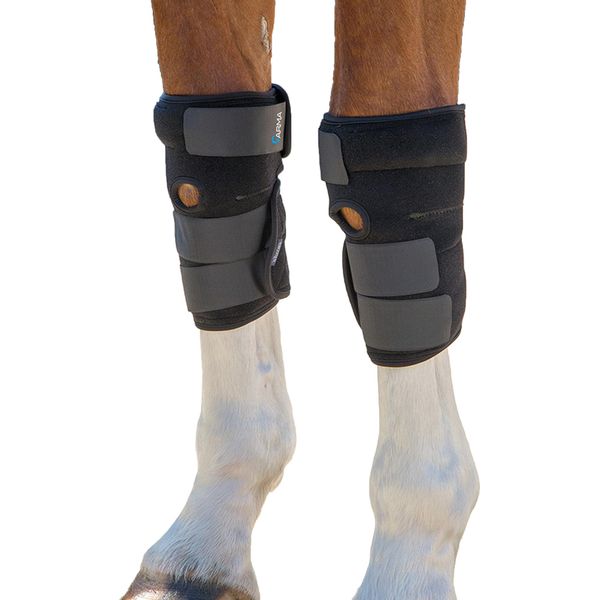 Arma - Imbottitura Per Cavalli "Hot And Cold"" ER1056 (Taglia Unica) (Nero)"-image