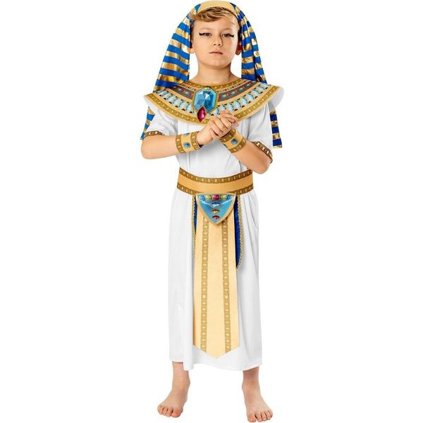 Bristol Novelty - Costume - Ragazzi BN4375 (104) (Blu/Bianco)-image