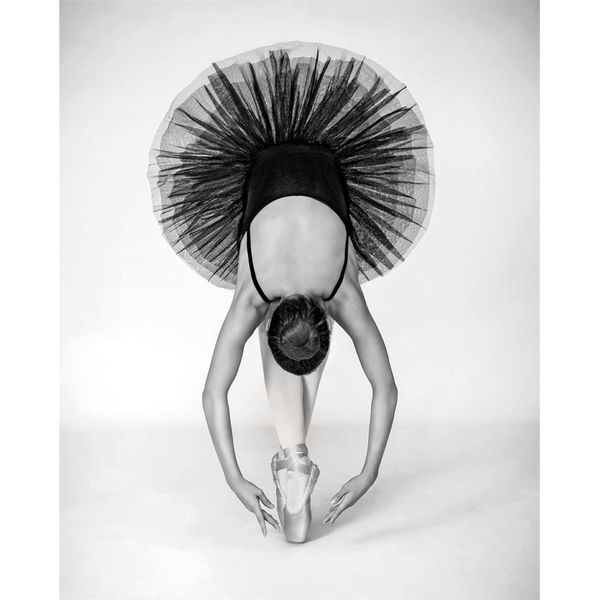Pyramid International - Stampa Su Tela "Tecnica Del Balletto"" PM6305 (80 Cm X 60 Cm) (Nero/Bianco)"-image