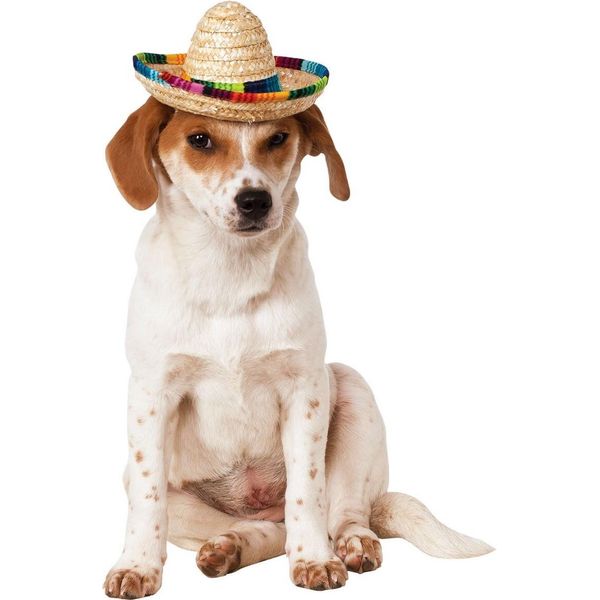 Bristol Novelty - Costume Da Cane BN5306 (M - L) (Colorato)-image