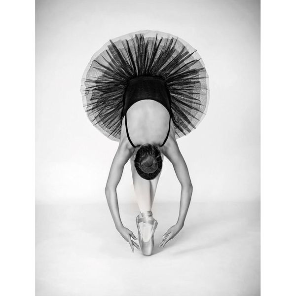 Pyramid International - Stampato "Ballet Technique"" PM6261 (80 Cm X 60 Cm) (Grigio/Nero)"-image