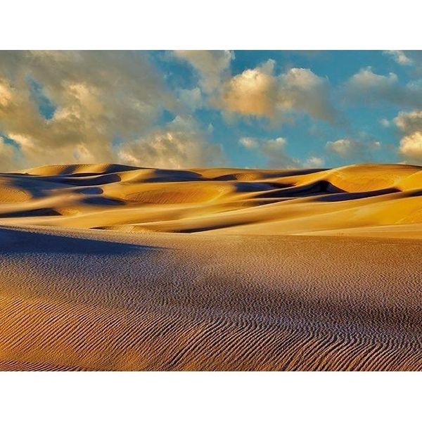 Dennis Frates - Tela "Dune Dell'oregon Al Tramonto"" PM6097 (80 Cm X 60 Cm) (Blu/Marrone/Bianco)"-image