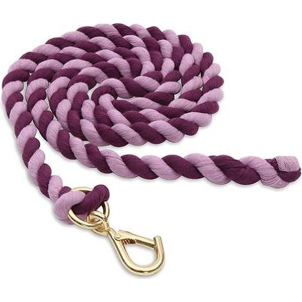 Shires Horse Lead Stick Bicolore ER595 (Taglia Unica) (Viola/Lilla)-image