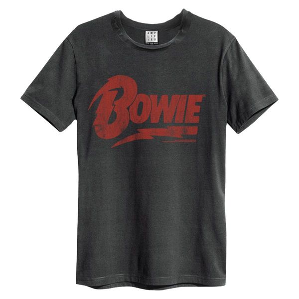 Amplified - Maglietta Logo Per Uomo/Donna Unisex GD921 (L) (Charcoal)-image