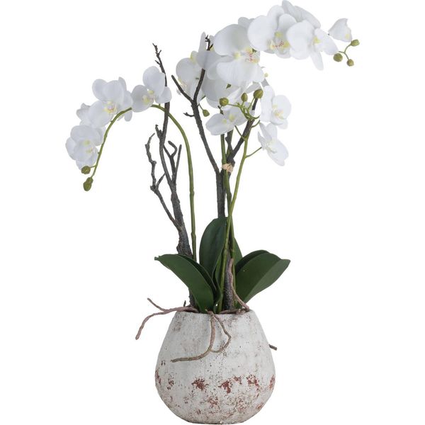 Hill Interiors - Fiore Artificiale HI3455 (70 Cm X 46 Cm X 46 Cm) (Bianco)-image