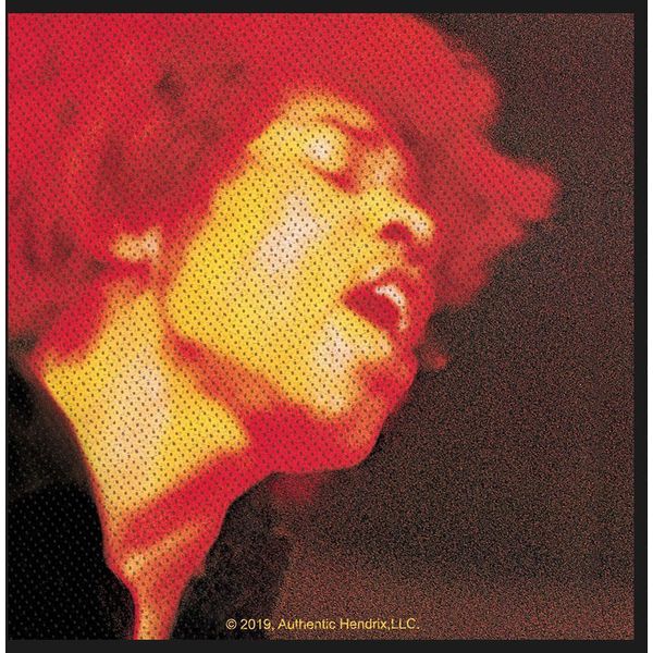 Jimi Hendrix - Toppa "Electric Ladyland"" - Poliestere RO8342 (Taglia Unica) (Multicolore)"-image