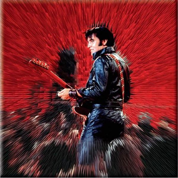 Elvis Presley - Magnete Da Frigo "Shine"" RO8843 (Taglia Unica) (Rosso/Nero)"-image