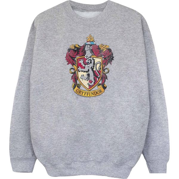 Harry Potter - Felpa Per Ragazze BI1796 (152-158) (Grigio)-image