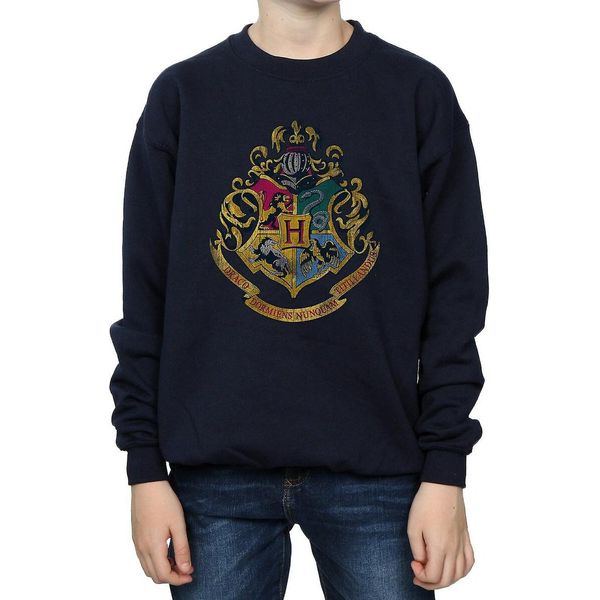 Harry Potter - Felpa Per Ragazzi BI1058 (152-158) (Marineblau)-image