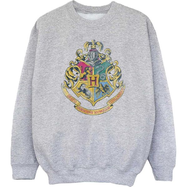 Harry Potter - Felpa Per Ragazze BI1056 (152-158) (Grigio)-image