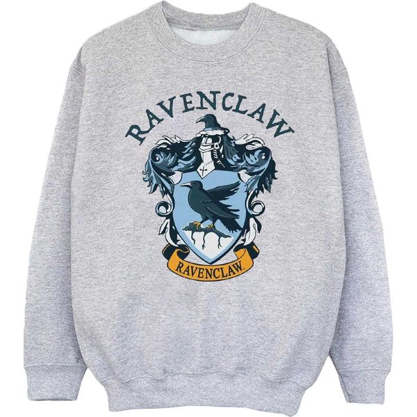 Harry Potter - Felpa Per Ragazzi BI1881 (116) (Grigio)-image