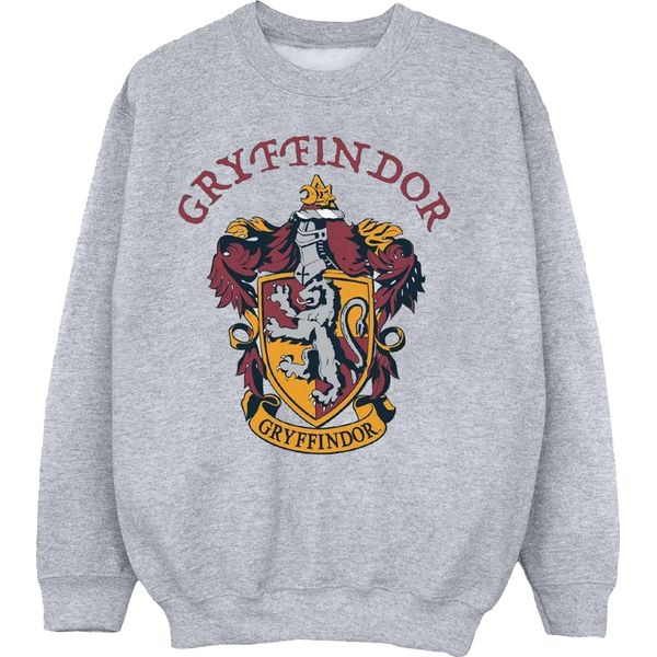 Harry Potter - Felpa Per Ragazzi BI796 (128) (Grigio)-image