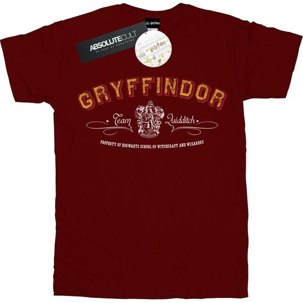 Harry Potter - Maglietta "Gryffindor Quidditch"" Da Donna BI27508 (M) (Rosso Borgogna)"-image