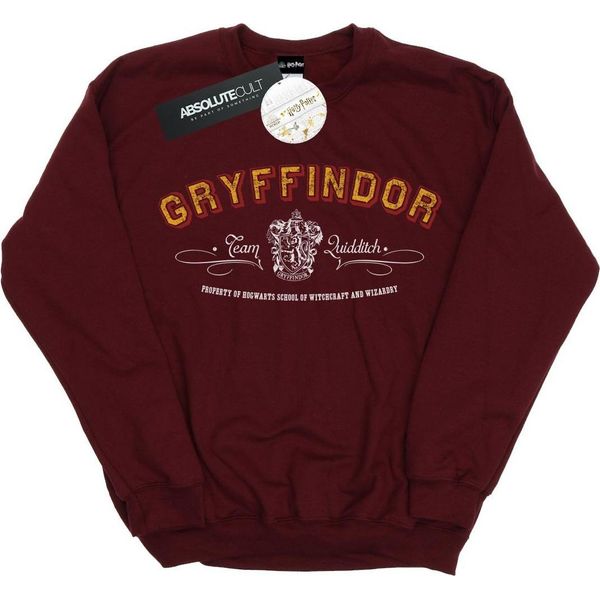 Harry Potter - Felpa "Gryffindor Quidditch"" Da Uomo BI28489 (L) (Rosso Borgogna)"-image