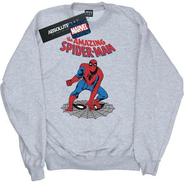 Marvel - Felpa "The Amazing Spider-Man"" Per Ragazzi BI28780 (104) (Grau)"-image