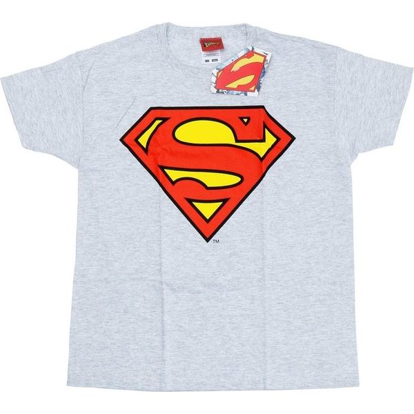 Dc Comics - Maglietta Da Ragazzo BI15329 (116) (Grigio Screziato)-image