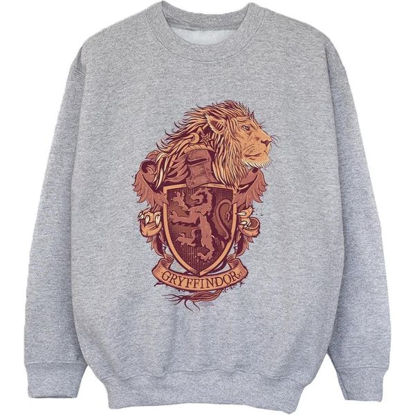 Harry Potter - Felpa "Grifondoro"" Da Ragazzo BI20489 (128) (Grigio)"-image