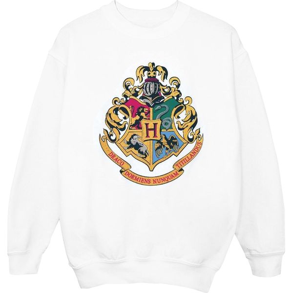 Harry Potter - Felpa "Hogwarts"" Per Ragazzi BI19907 (152-158) (Bianco)"-image