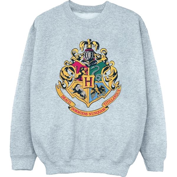 Harry Potter - Felpa "Hogwarts"" Per Ragazzi BI19907 (152-158) (Grau)"-image