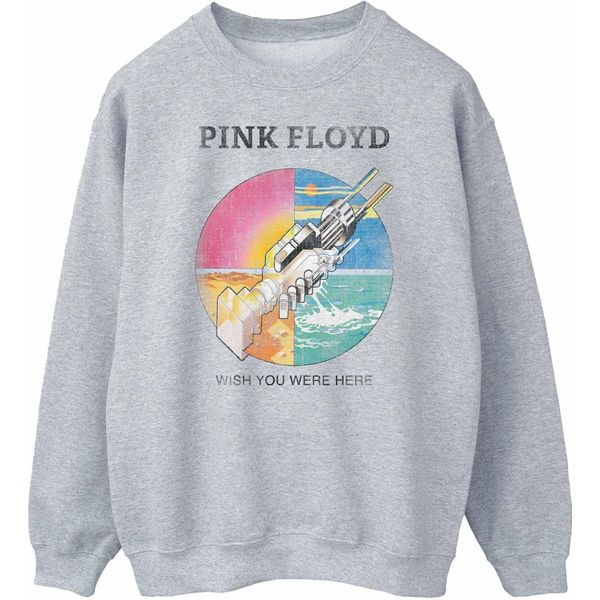 Pink Floyd - Felpa "Wish You Were Here"" Per Bambini BI48796 (Xl) (Grau)"-image