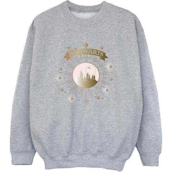 Harry Potter - Felpa "Hogwarts"" Per Ragazzi BI20419 (152-158) (Grau)"-image