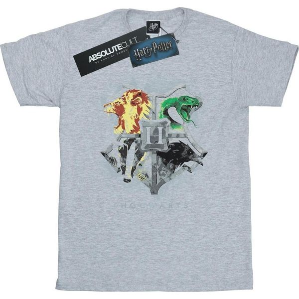 Harry Potter - Maglietta "Hogwarts"" Per Ragazzi BI20520 (116) (Grigio)"-image