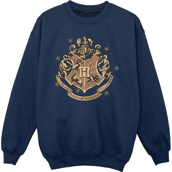 Harry Potter - Felpa Per Ragazze BI20977 (128) (Blu Navy)-image