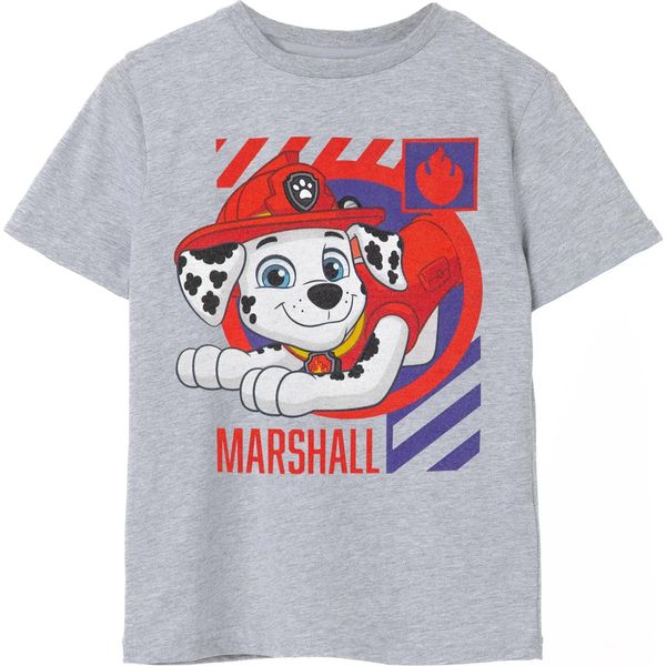Paw Patrol - Maglietta Da Ragazzo NS7762 (116) (Grigio Screziato)-image