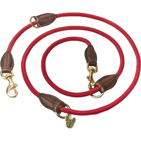 Digby & Fox - Guinzaglio Per Cani In Pelle ER2085 (Taglia Unica) (Rosso)-image