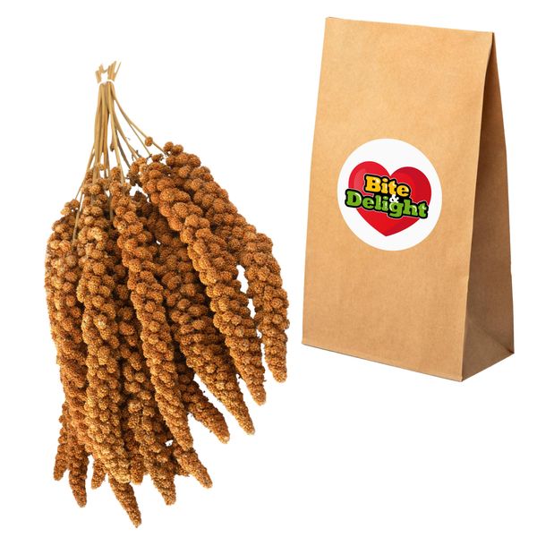 Bite&Delight - Miglio Rosso Del Senegal 1Kg - Snack Naturale Per Uccelli, Ideale Per Pappagalli, Canarini E Uccelli Selvatici-image