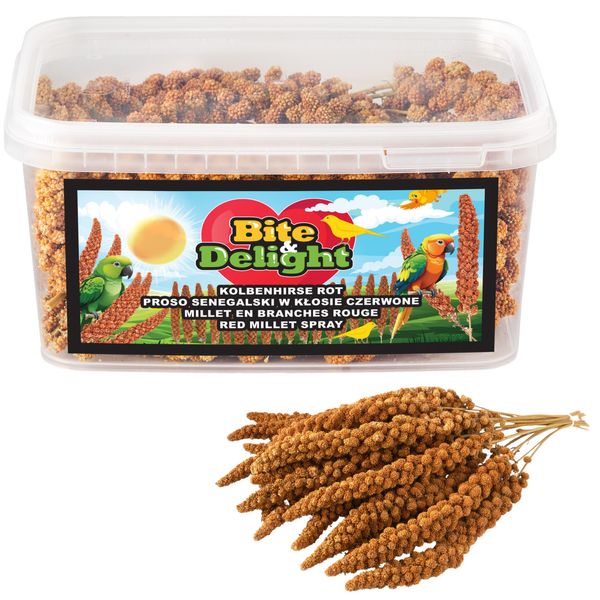 Bite&Delight - Miglio Rosso Del Senegal 1,5 Kg - Snack Naturale Per Uccelli, Ideale Per Pappagalli, Canarini E Uccelli Selvatici-image