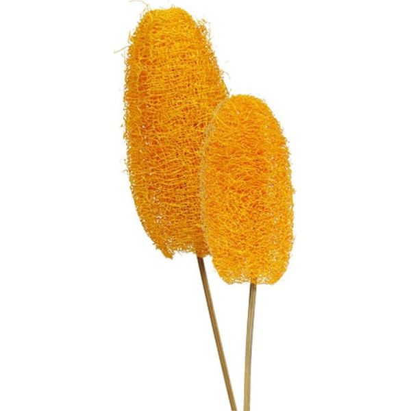 Luffa Piccola Con Gambo Giallo Dorato 25 Pezzi - Decorazione Artigianato Fiori Secchi Decorazioni Autunnali, 25 Pezzi-image