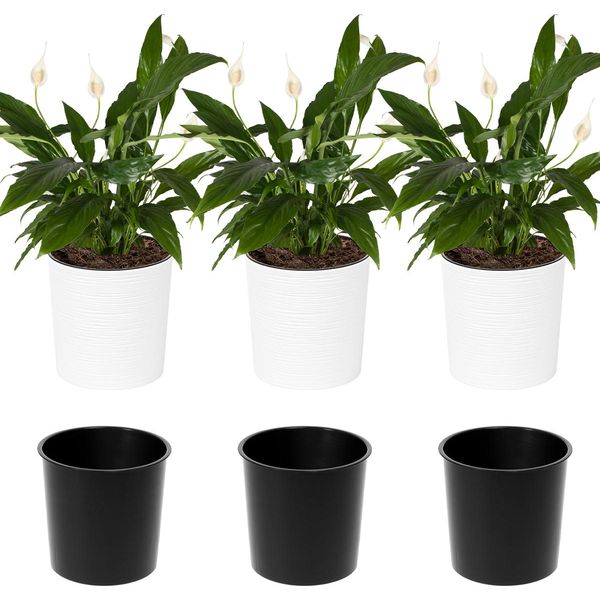 Set Di 3 Vasi Da Fiori Lamela | Malwa | Con Inserto | Bianco | 19 Cm-image