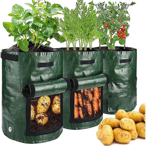 3Pcs Pianta Sacchetto 3 Galloni Pianta Sacchetti Di Piantare Per Patate Pomodori Fiori Fragola, Verde-image