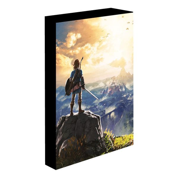 Tela Luminosa Di Legend Of Zelda Into The Wilds-image