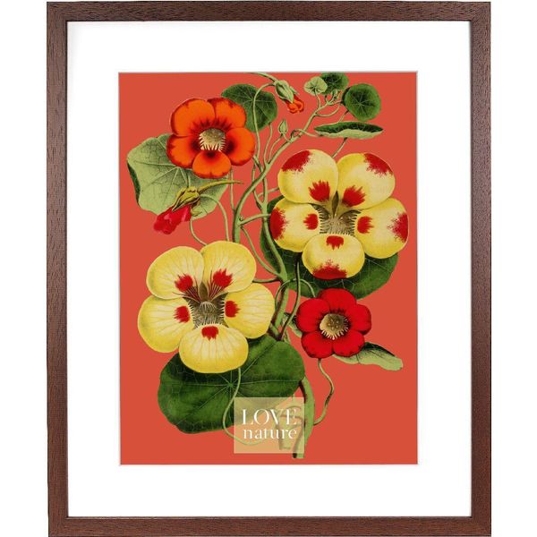 Goldbuch Rustiq Cornice Marrone 40X50 Cm Con Passe-Partout 30X40 Cm-image