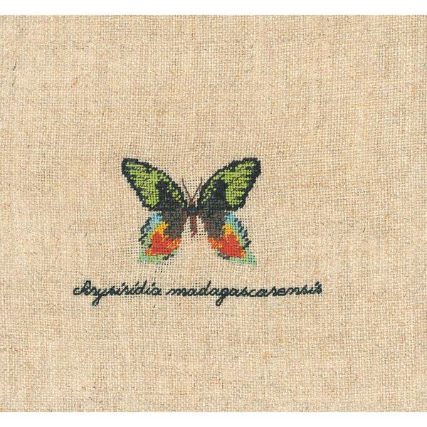Le Bonheur Des Dames Petit Point Kit Punto Croce "Miniatura Farfalla Verde"", Contato, 7X4Cm"-image