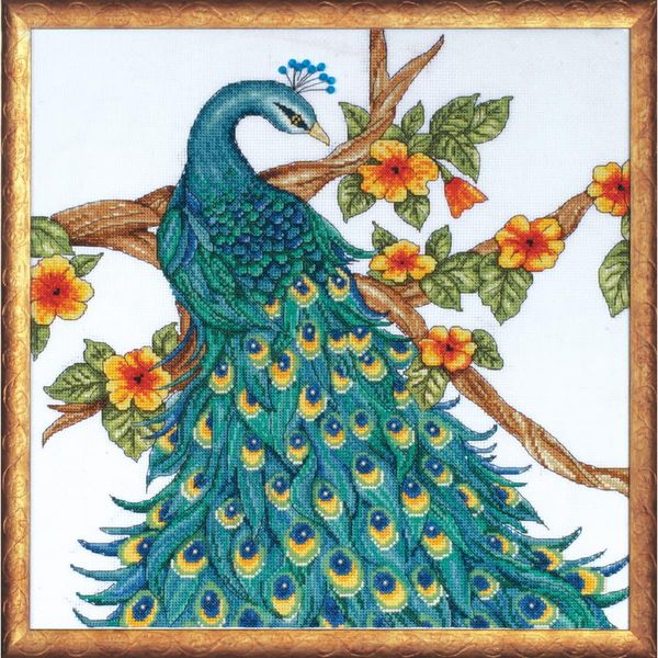 Confezione Da Ricamo A Punto Croce Design Works "Peacock"", Schema Contato, 36X36Cm"-image
