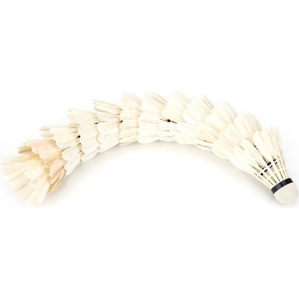 Badminton, Palline Da Badminton, Volani Da Badminton, Piuma Di Volano Da Badminton, Volani Da Badminton-image