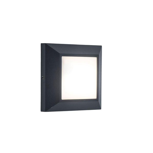Lutec Helena Lampada Da Parete Per Esterni A Led 4000 K 4W IP54 Antracite-image