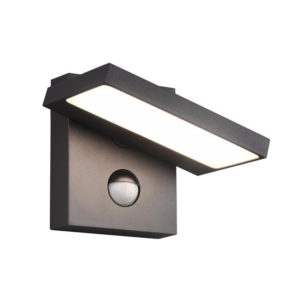 Lampada Da Parete Per Esterni Horton - Movement Sensor Antracite Trio 226369142-image