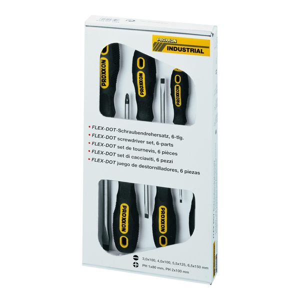Proxxon FLEX-DOT Schraubendrehersatz 6-Tlg., Schlitz Und Pozi (22606)-image