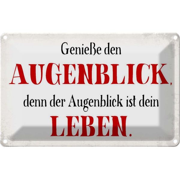 Vianmo Insegna Di Latta 20X30 Cm GenießE Den Augenblick Leben-image