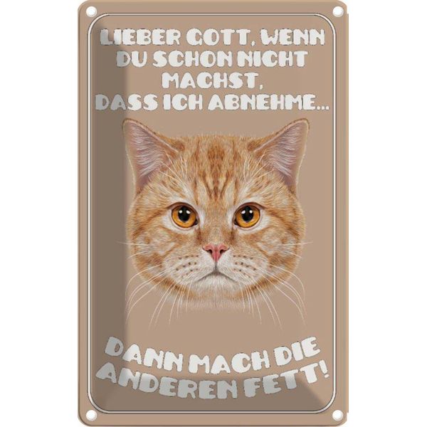 Vianmo Insegna Di Latta 30X20 Cm Katze Lieber Gott Wenn Du Schon Nicht-image