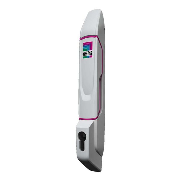 Rittal Komfortgriff FüR Profilhalbzyl. VX 8618.250 (8618250)-image