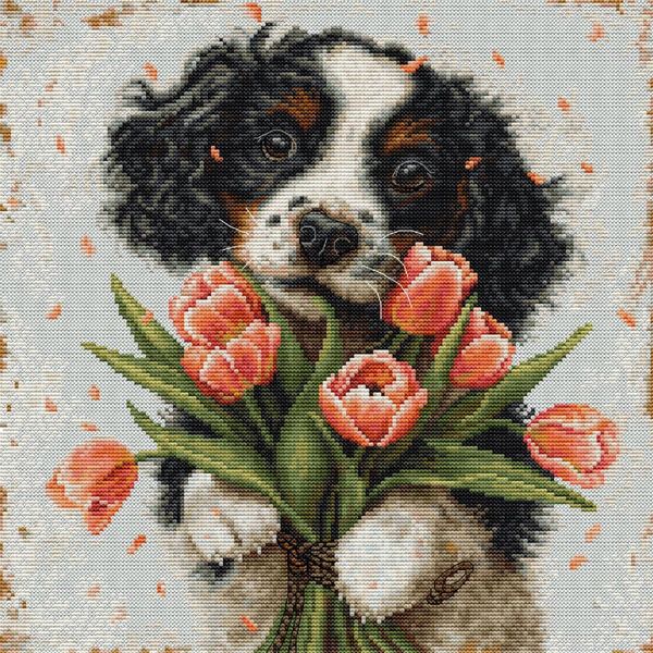 Luca-S Kit Per Ricamo A Punto Croce "Il Cucciolo Di Cocker Spaniel"", Schema Contato, 27X27Cm"-image