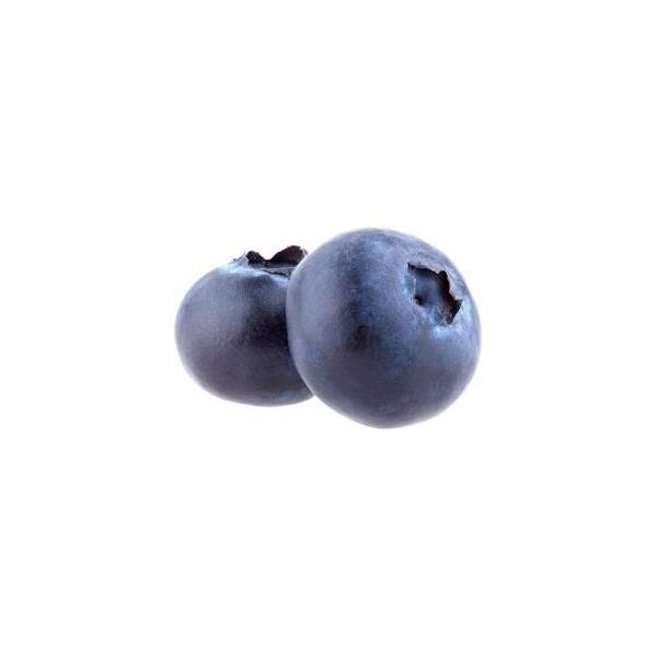 Mirtillo Nordblu - Circa 60 Cm - Vaccinium Corymbosum - Pianta Di Bacche Resistenti In Vaso Per Balcone E Giardino-image